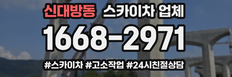 신대방동 스카이차 업체