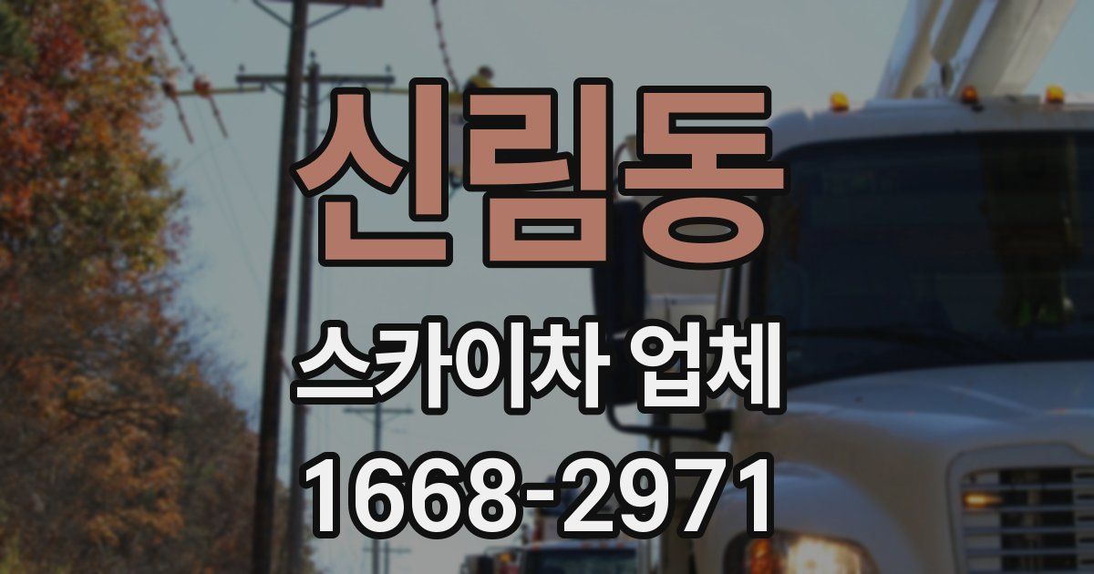 신림동 스카이차 업체