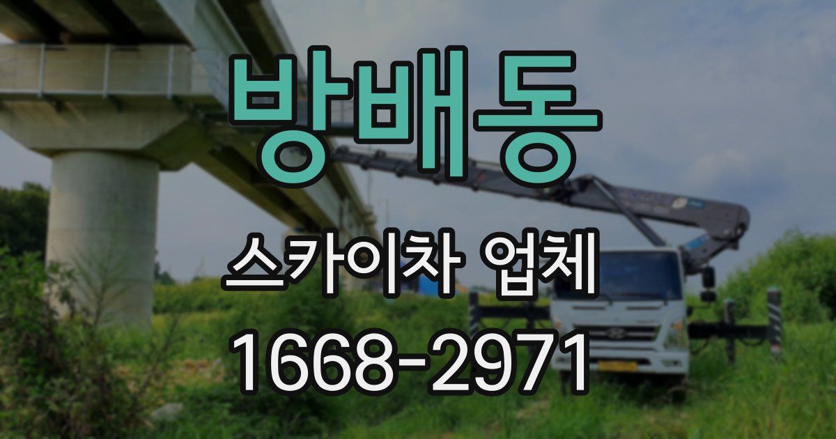 방배동 스카이차 업체