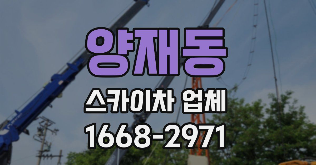 양재동 스카이차 업체