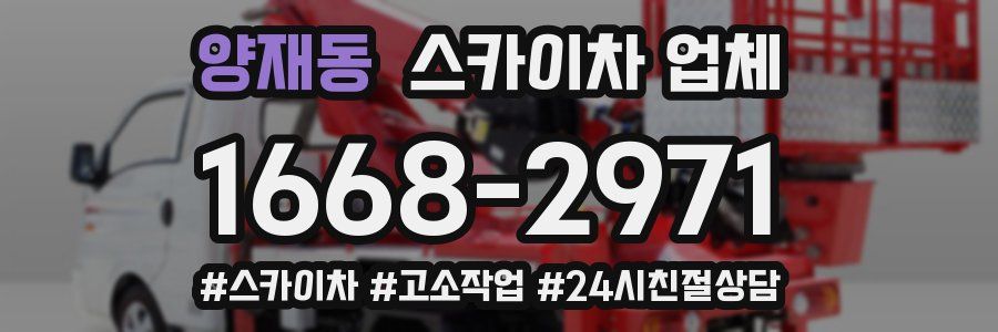 양재동 스카이차 업체