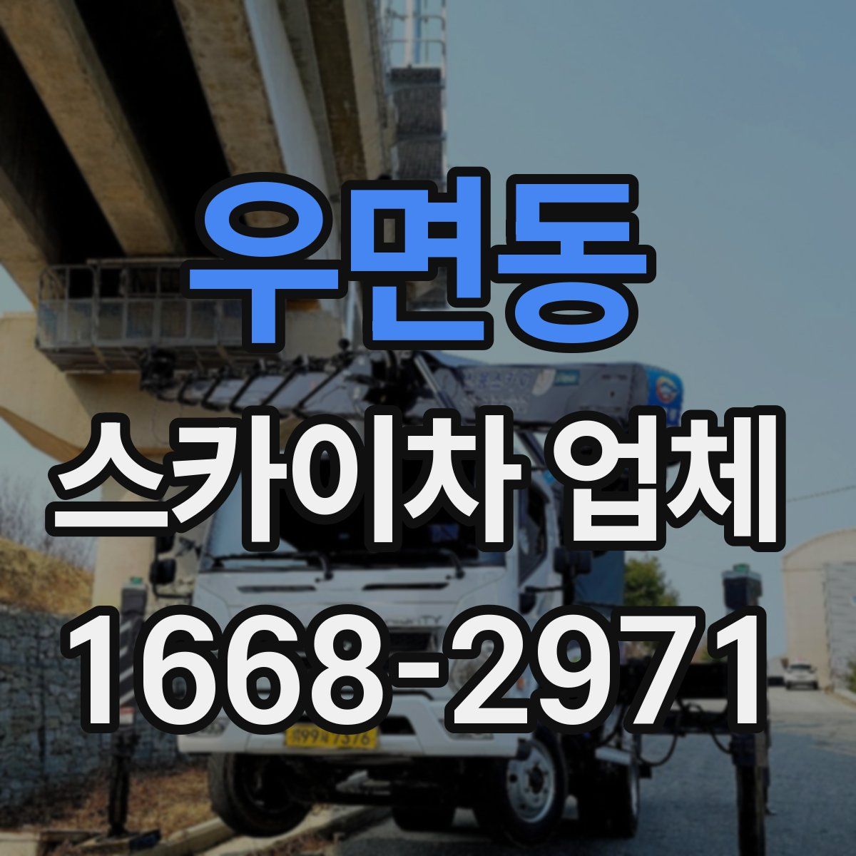 우면동 스카이차 업체