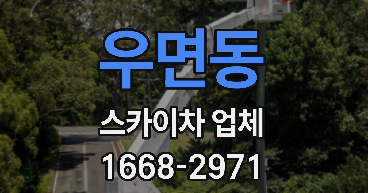 우면동 스카이차 업체