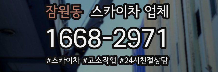 잠원동 스카이차 업체