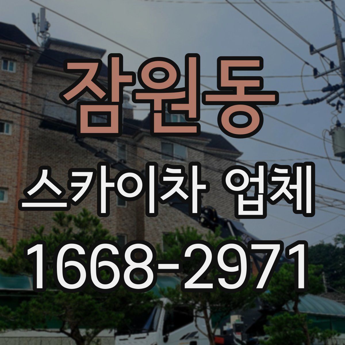 잠원동 스카이차 업체