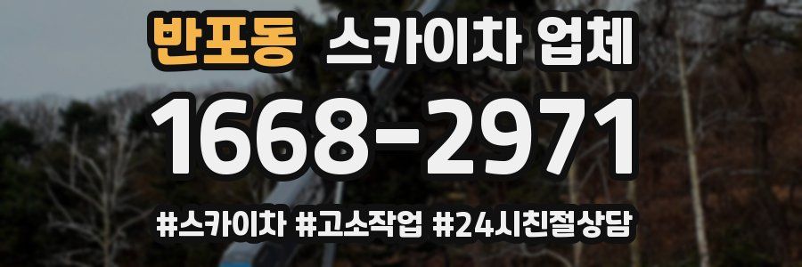 반포동 스카이차 업체
