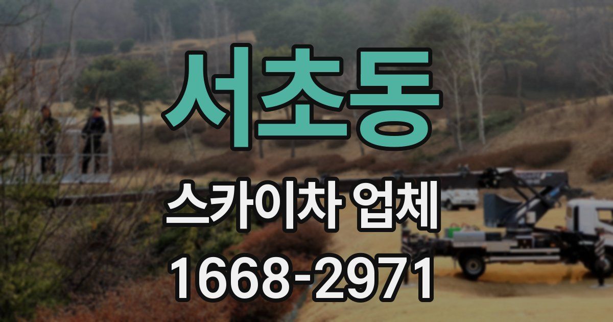 서초동 스카이차 업체