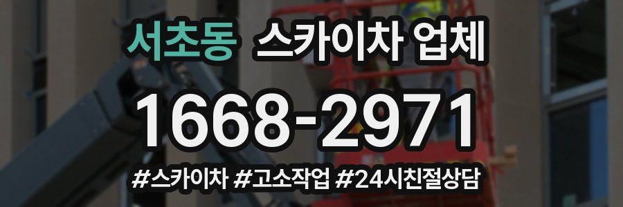 서초동 스카이차 업체