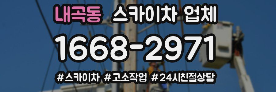 내곡동 스카이차 업체