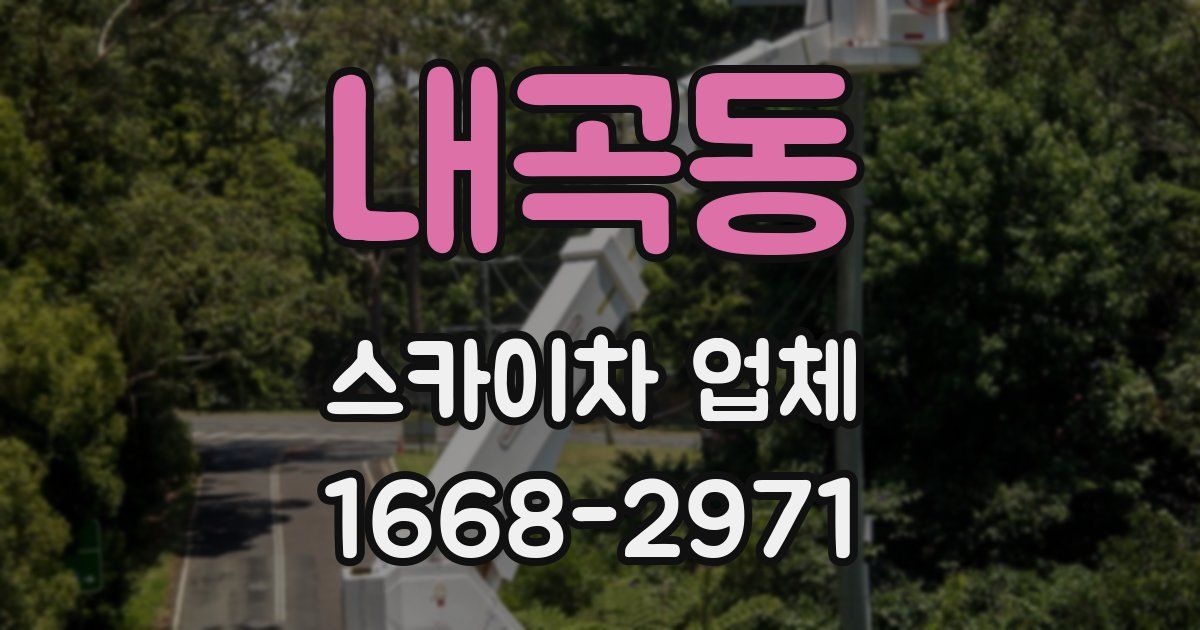 내곡동 스카이차 업체