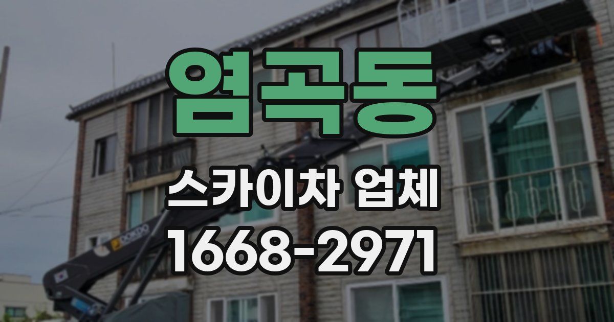 염곡동 스카이차 업체