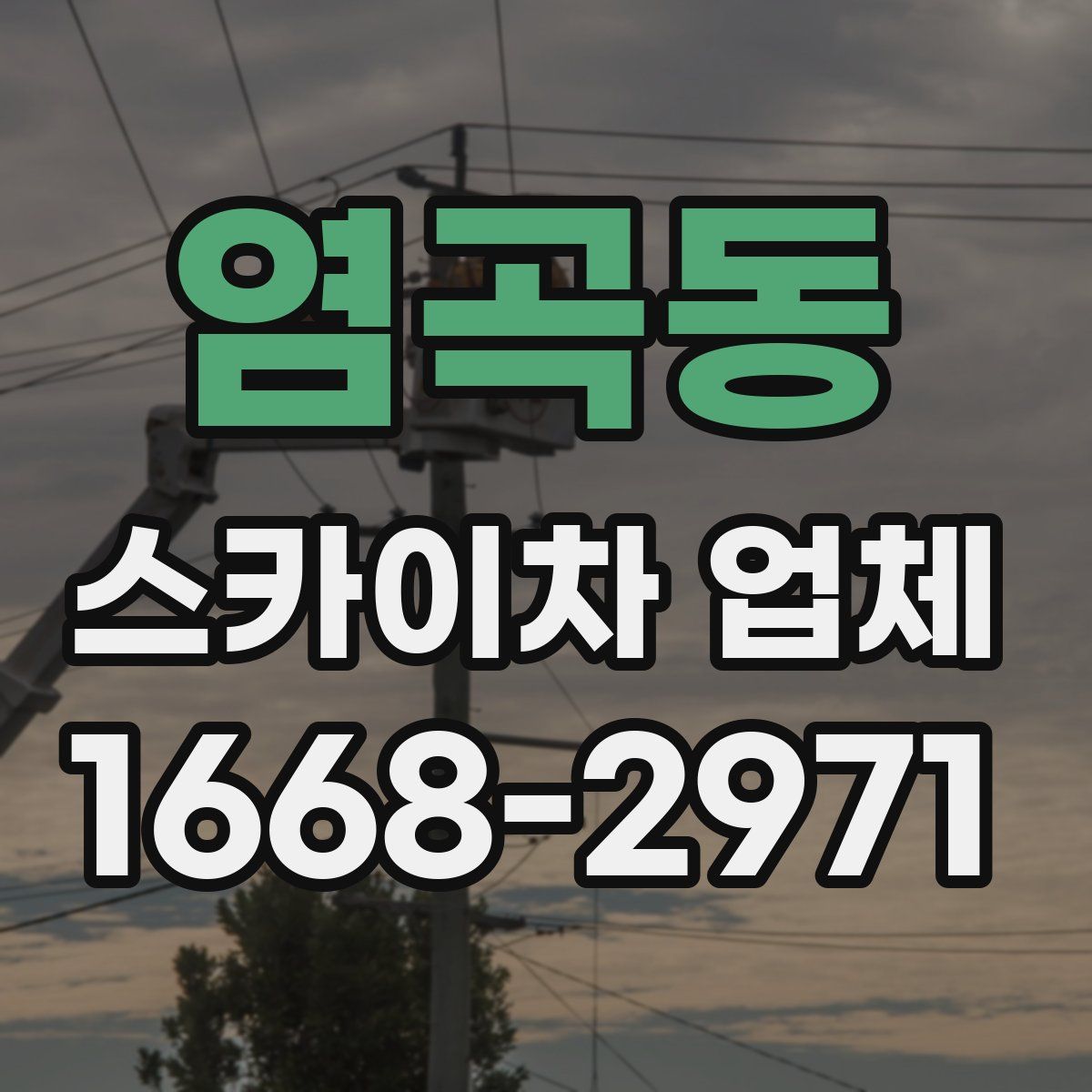 염곡동 스카이차 업체