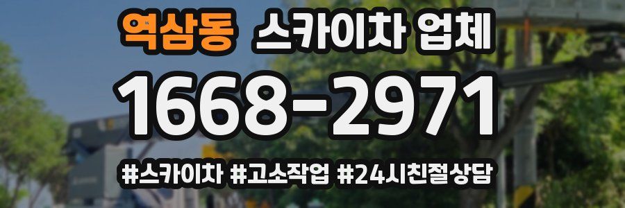 역삼동 스카이차 업체