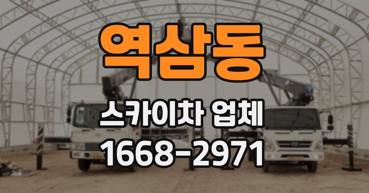 역삼동 스카이차 업체