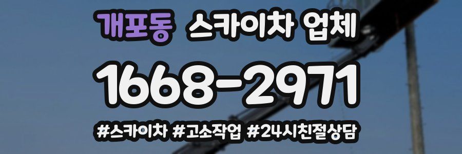 개포동 스카이차 업체