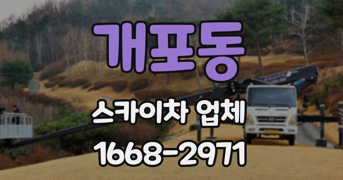개포동 스카이차 업체