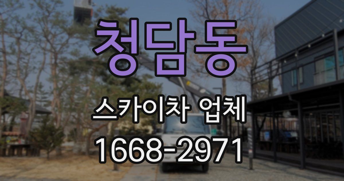 청담동 스카이차 업체