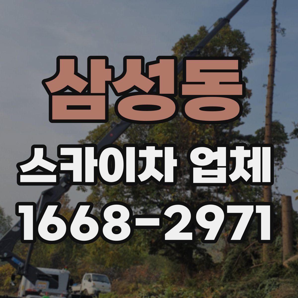 삼성동 스카이차 업체