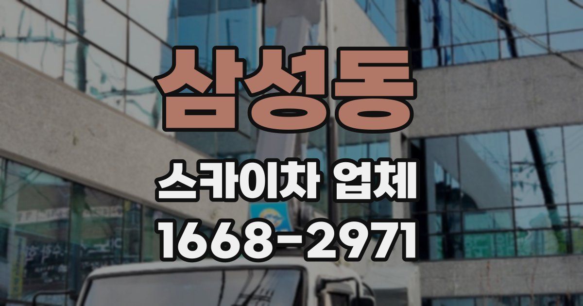삼성동 스카이차 업체