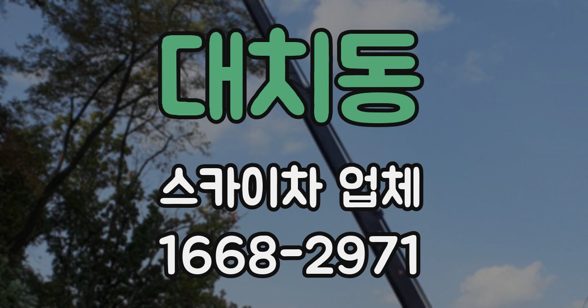대치동 스카이차 업체