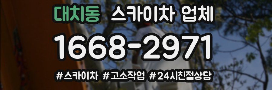 대치동 스카이차 업체