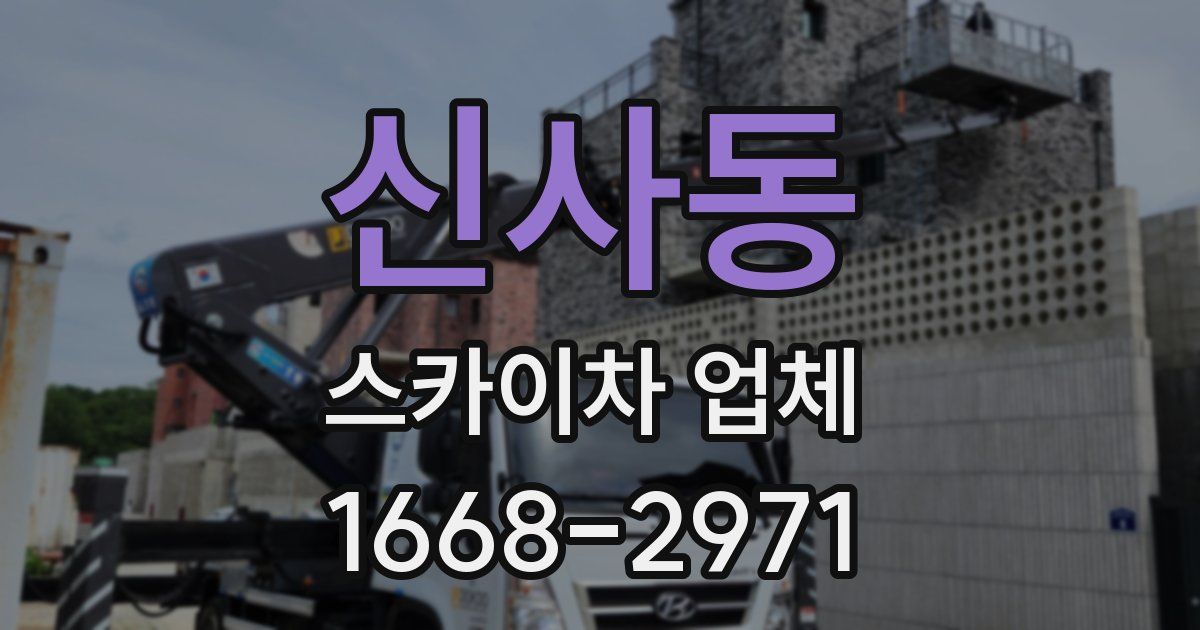 신사동 스카이차 업체