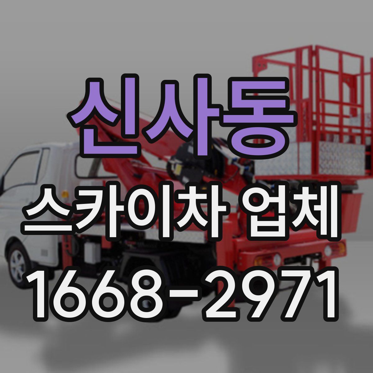 신사동 스카이차 업체