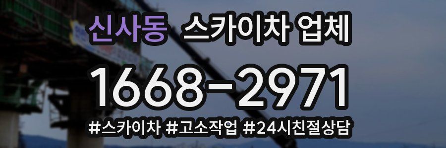 신사동 스카이차 업체