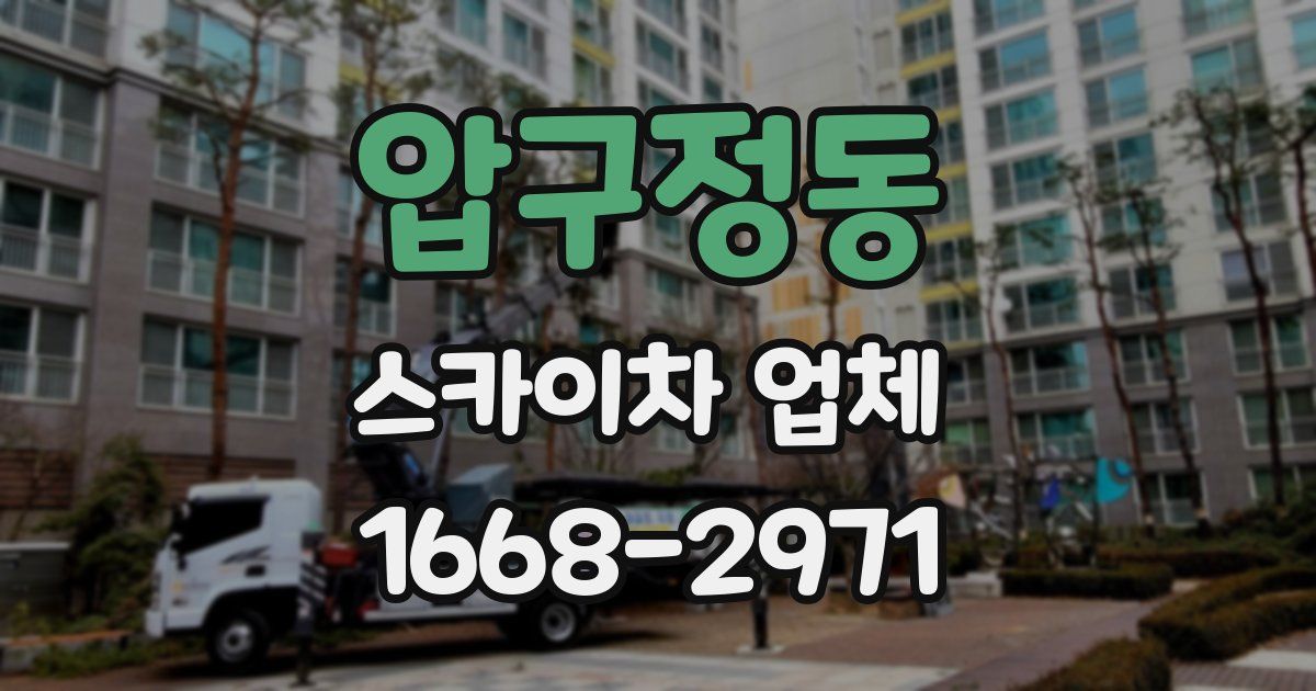 압구정동 스카이차 업체
