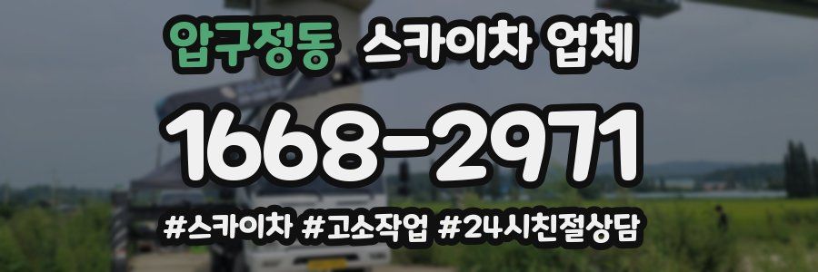 압구정동 스카이차 업체
