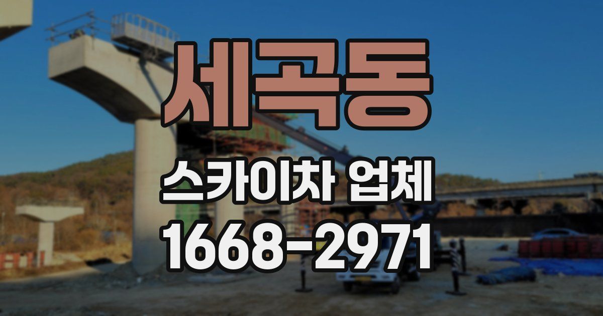 세곡동 스카이차 업체