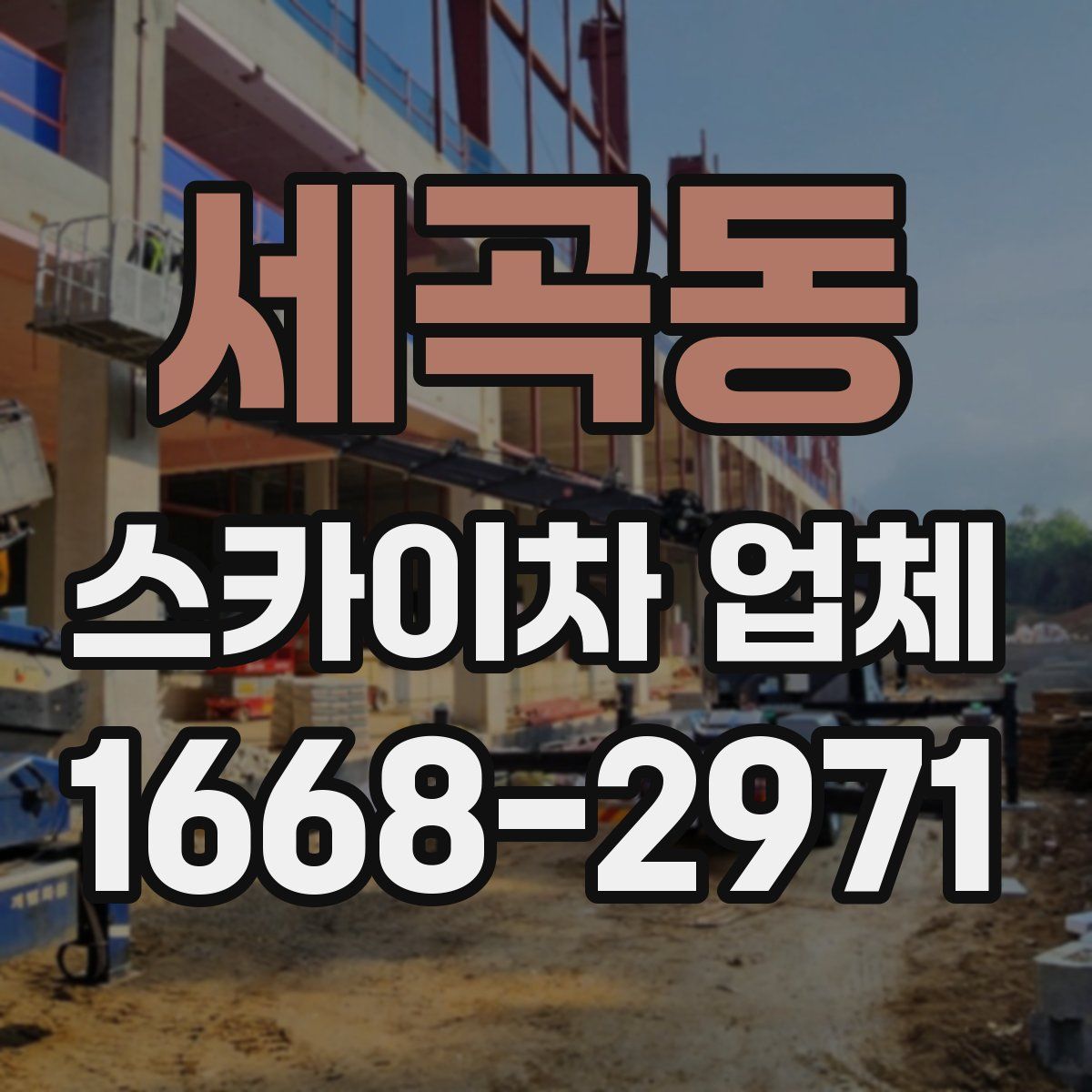 세곡동 스카이차 업체