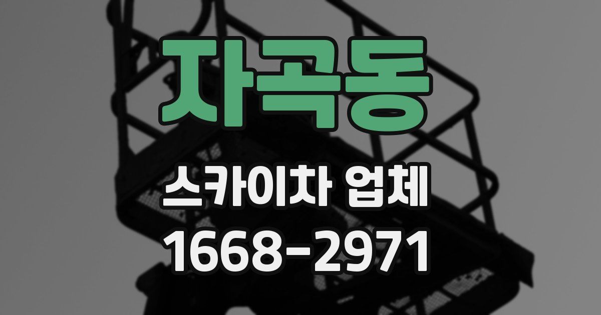 자곡동 스카이차 업체