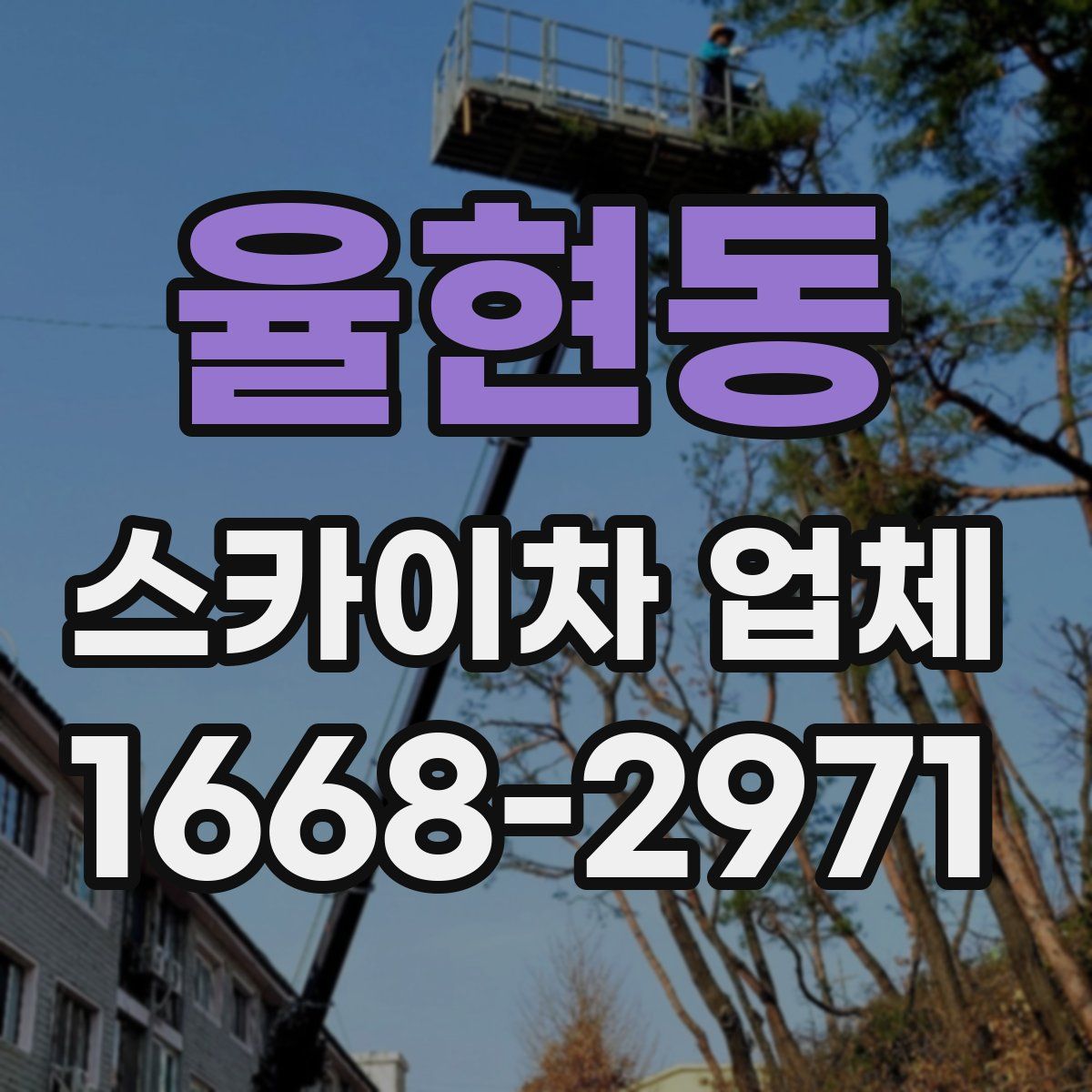 율현동 스카이차 업체