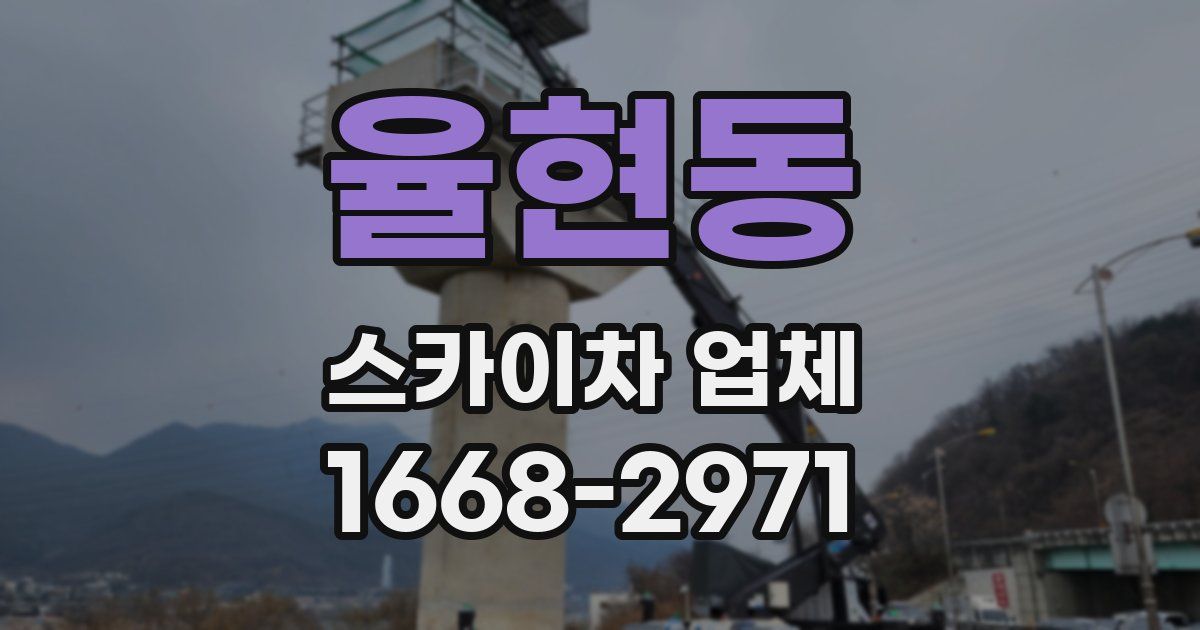 율현동 스카이차 업체