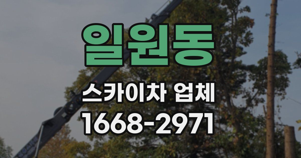 일원동 스카이차 업체