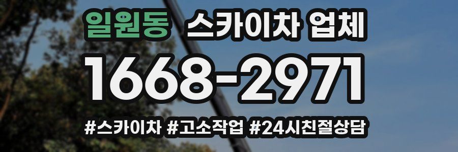 일원동 스카이차 업체