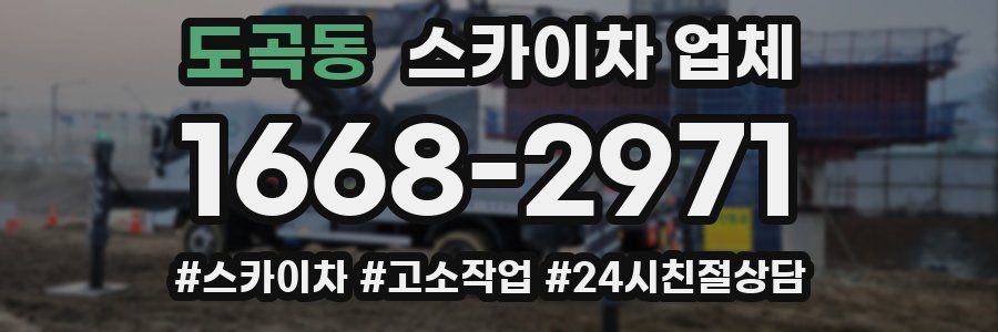 도곡동 스카이차 업체