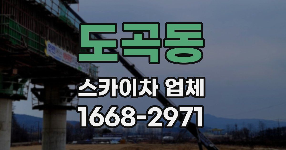 도곡동 스카이차 업체