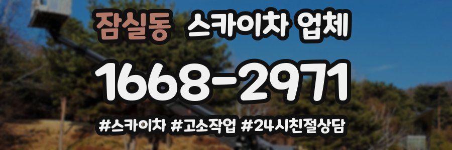 잠실동 스카이차 업체
