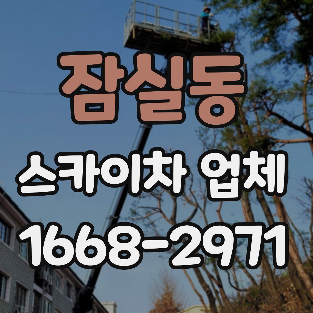잠실동 스카이차 업체