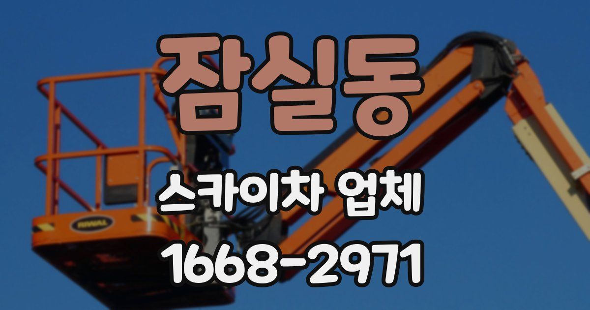 잠실동 스카이차 업체