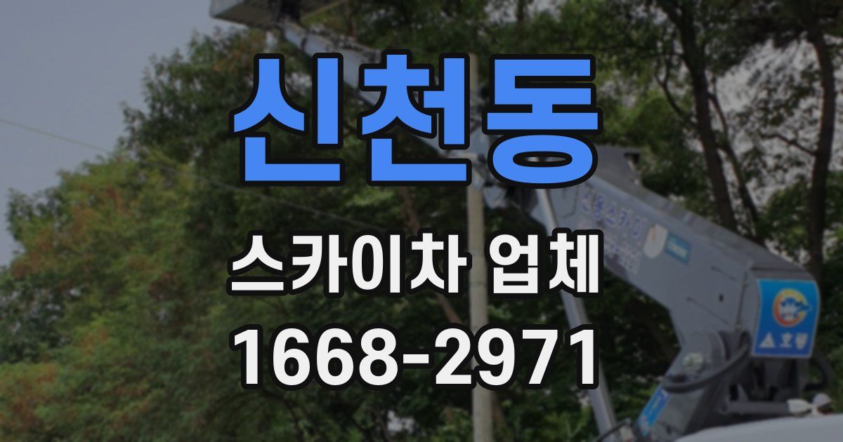 신천동 스카이차 업체