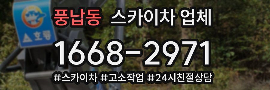 풍납동 스카이차 업체
