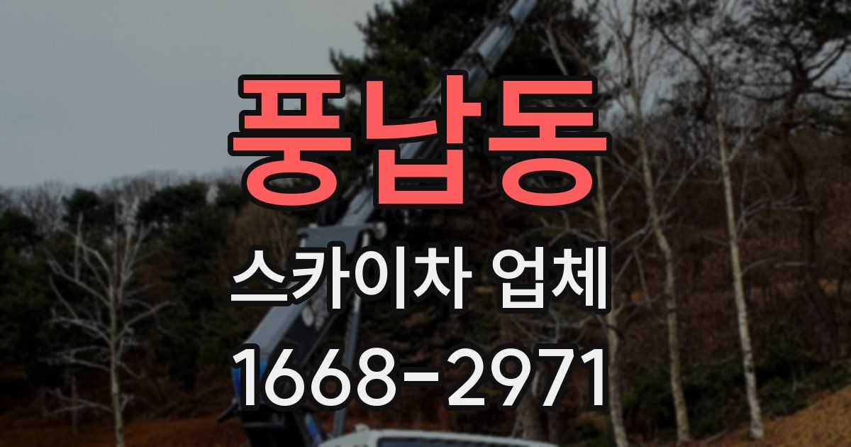 풍납동 스카이차 업체