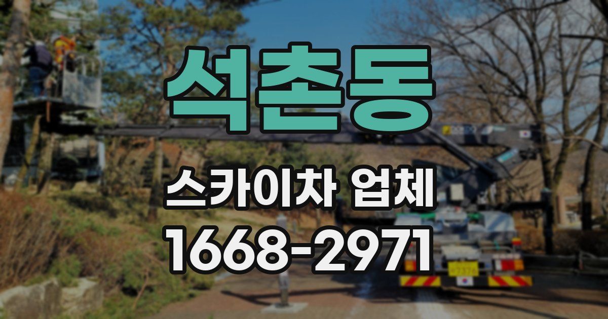 석촌동 스카이차 업체