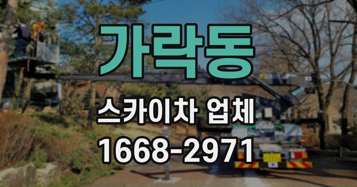 가락동 스카이차 업체