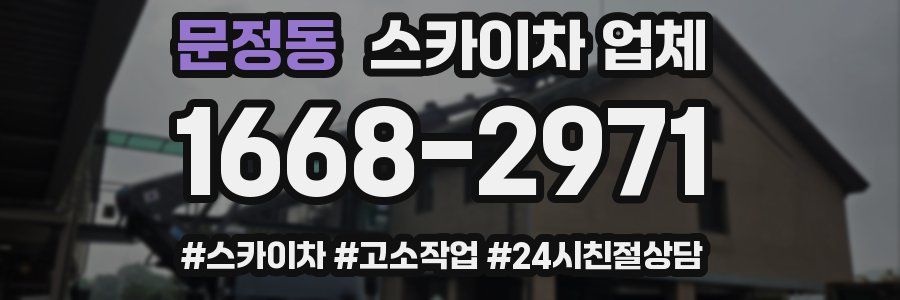 문정동 스카이차 업체