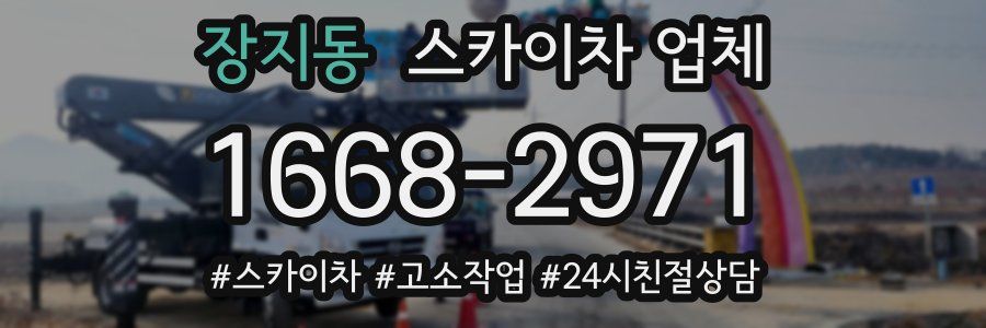 장지동 스카이차 업체