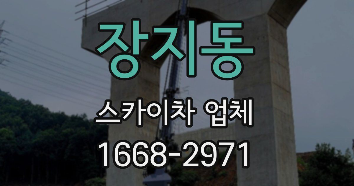 장지동 스카이차 업체